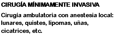 Cuadro de texto: CIRUGA Mnimamente invasivaCiruga ambulatoria con anestesia local: lunares, quistes, lipomas, uas, cicatrices, etc.